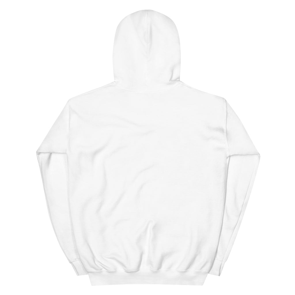 HempDash Unisex Hoodie back view - hemp wellness apparel