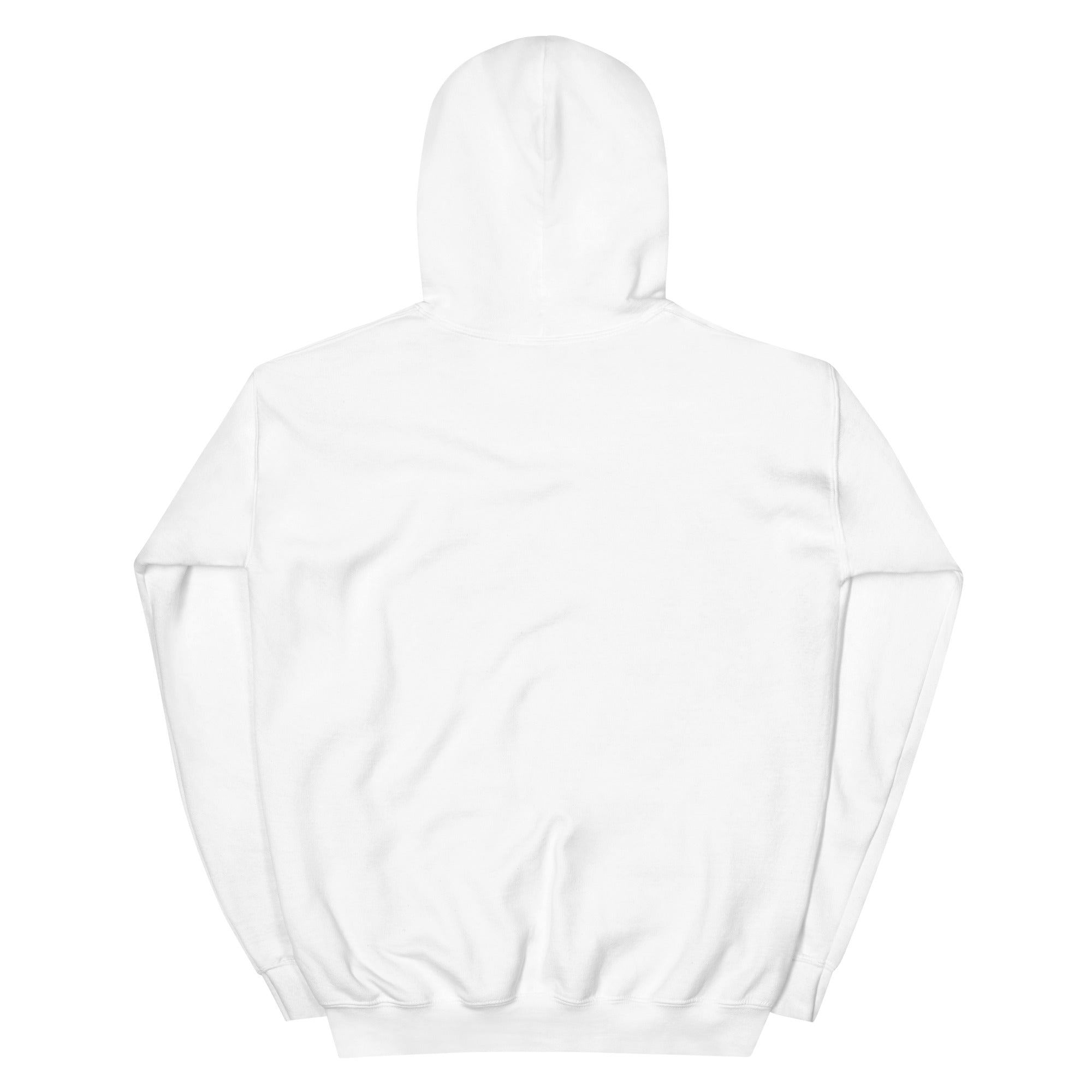 HempDash Unisex Hoodie back view - hemp wellness apparel